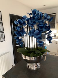 Image 4 of Blue orchid in champagne bowl