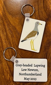 Grey-headed Lapwing Keyring - 2 Designs available