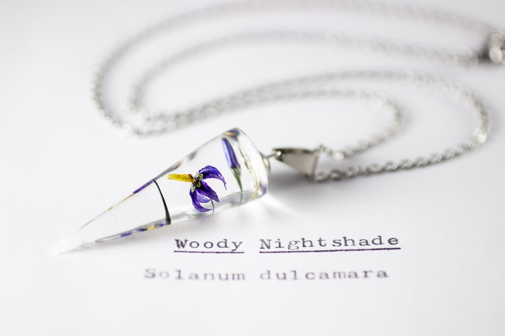 Image of Woody Nightshade (Solanum dulcamara) - Conical Pendant #1