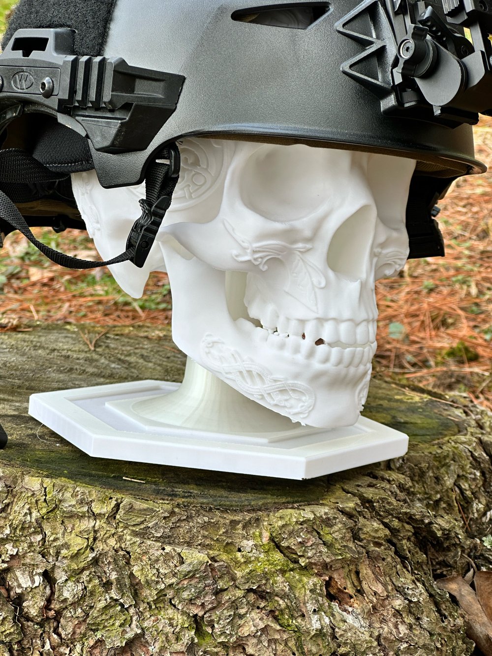 Skull Helmet display