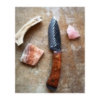 Image 1 of Amboyna Topanga Hunter custom. 