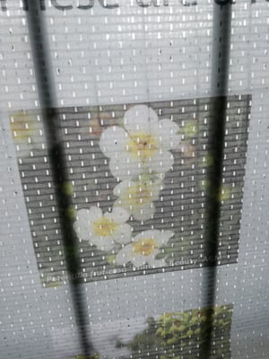 Image of Sublimation Printing mesh x 1 metre x 100cm wide