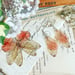 Image of New pretty delicate butterfly wing earrings