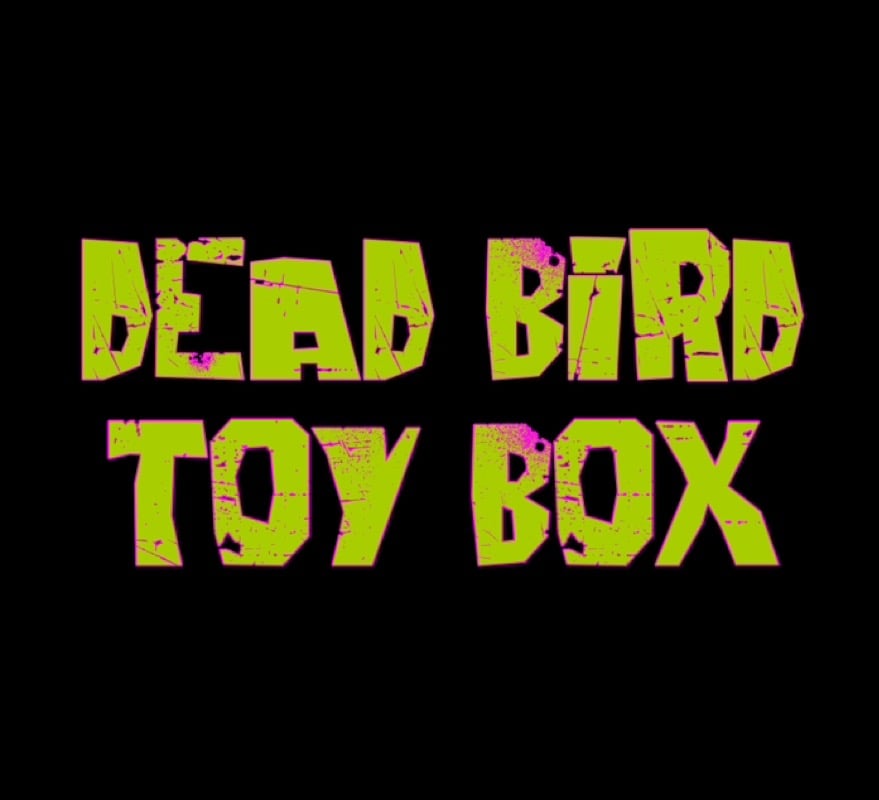 Image of Dead Bird Toy Box