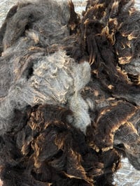 Image 1 of #21 Raw Harting Black Fleece - Mixed Colour