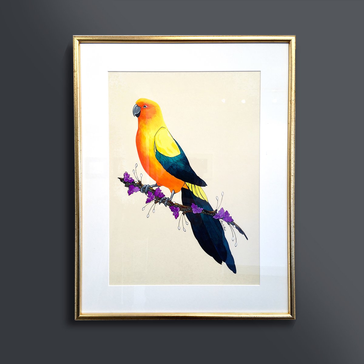Image of Sun Conure