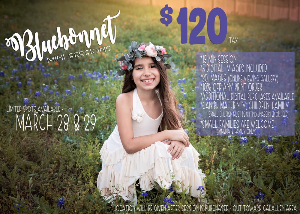 Image of Spring Bluebonnet Mini Sessions