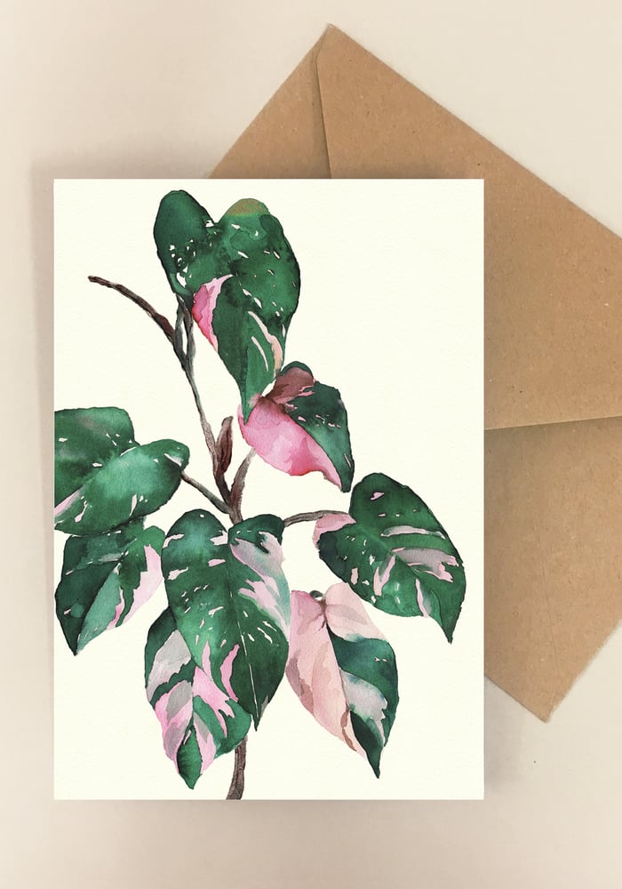 Image of 5 Notecards - Folded - Philodendron No.1014