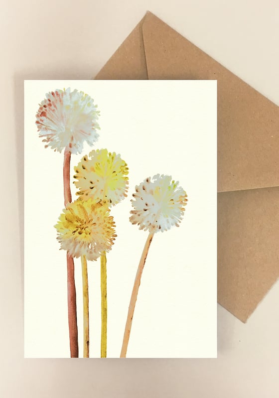 Image of 5 Notecards - Folded - Allium Yellow No.1013