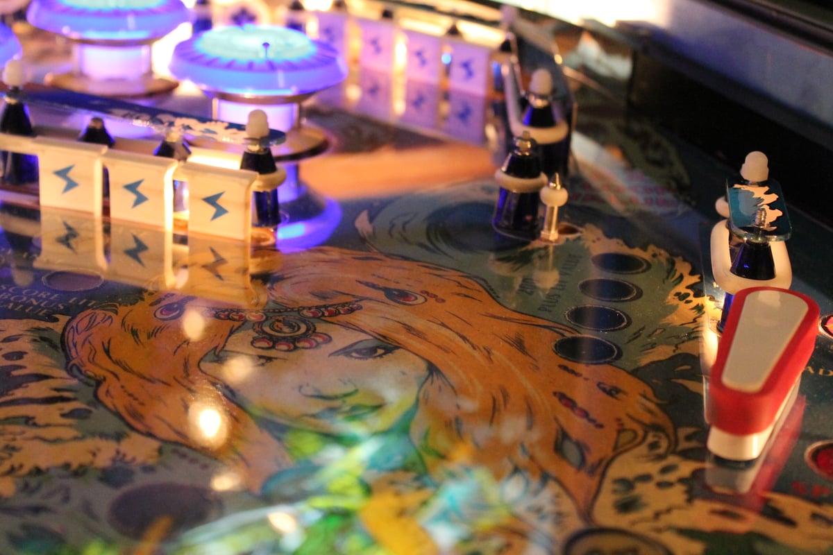 Pinball Playshield Protector