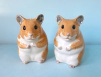 Image 1 of Hamster Salt and Pepper