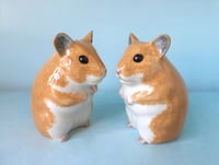 Image 2 of Hamster Salt and Pepper