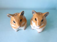 Image 3 of Hamster Salt and Pepper