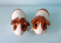 Image 3 of Guinea Pig Salt and Pepper 