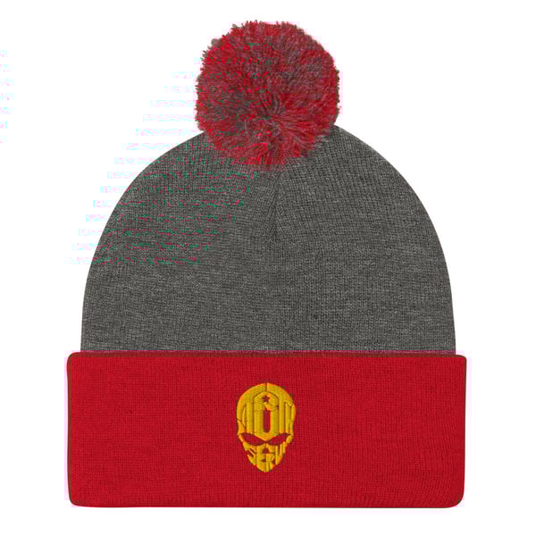 Image of Embroidered skull beanie