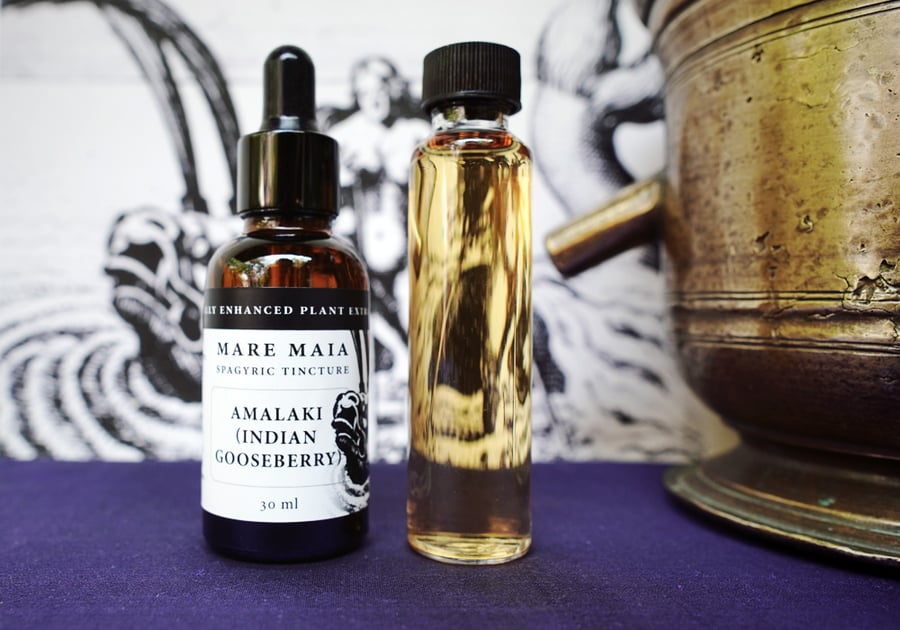 Image of AMALAKI (Indian Gooseberry) spagyric tincture - alchemically enhanced plant extraction