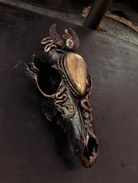 Image 4 of FOREST VVITCH 