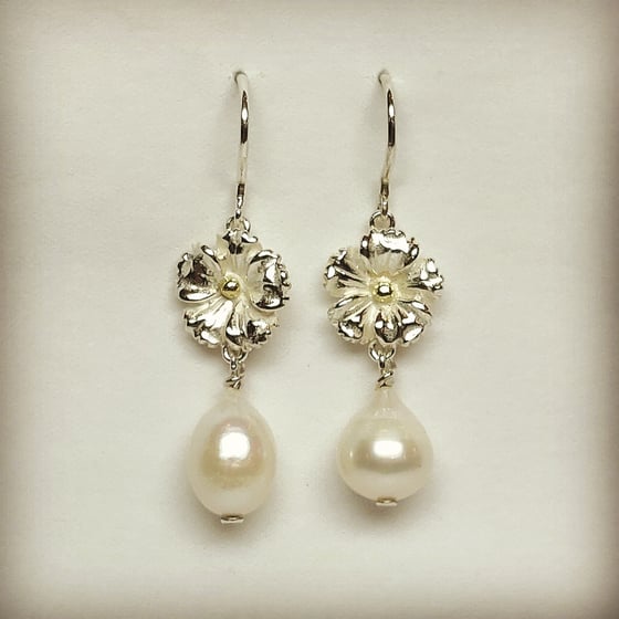 Beeld van Anemone pearl