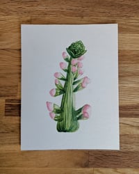 Budding Snapdragon