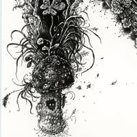 Image 3 of Letter N - Artwork