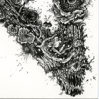 Image 5 of Letter N - Artwork