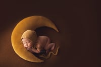 Image 2 of Chloe thick knit beanbag backdrop in Chestnut