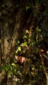 Find Your Light  Image 2