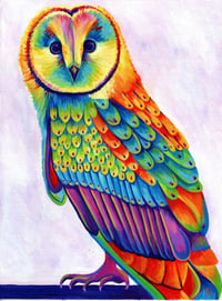 Image 1 of Rainbow Olive the Owl