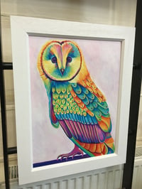 Image 2 of Rainbow Olive the Owl