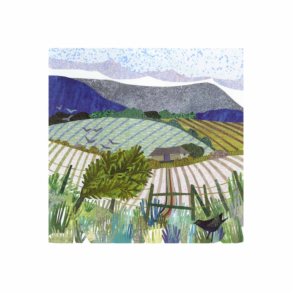 Image of Ditchling Beacon