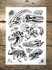 Dinosaurs - A3 Print
