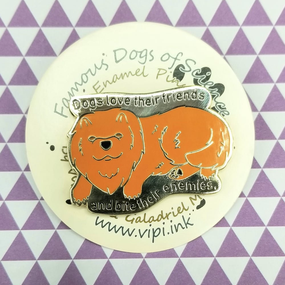 CLEARANCE: Jofi Pin