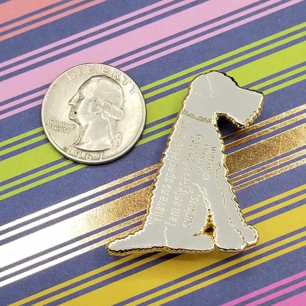 CLEARANCE: Chico Pin