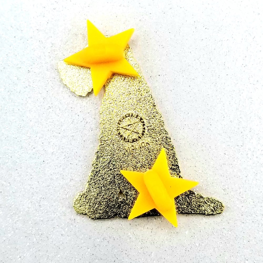 CLEARANCE: Chico Pin