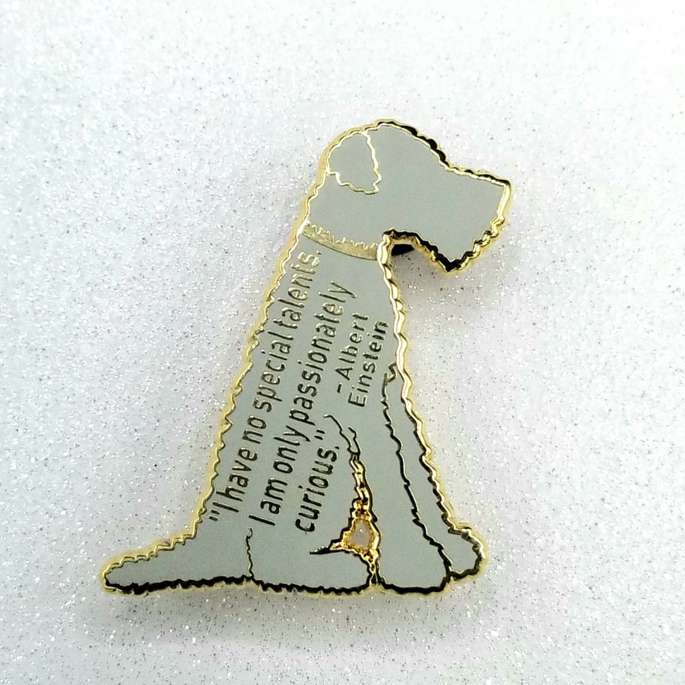 CLEARANCE: Chico Pin