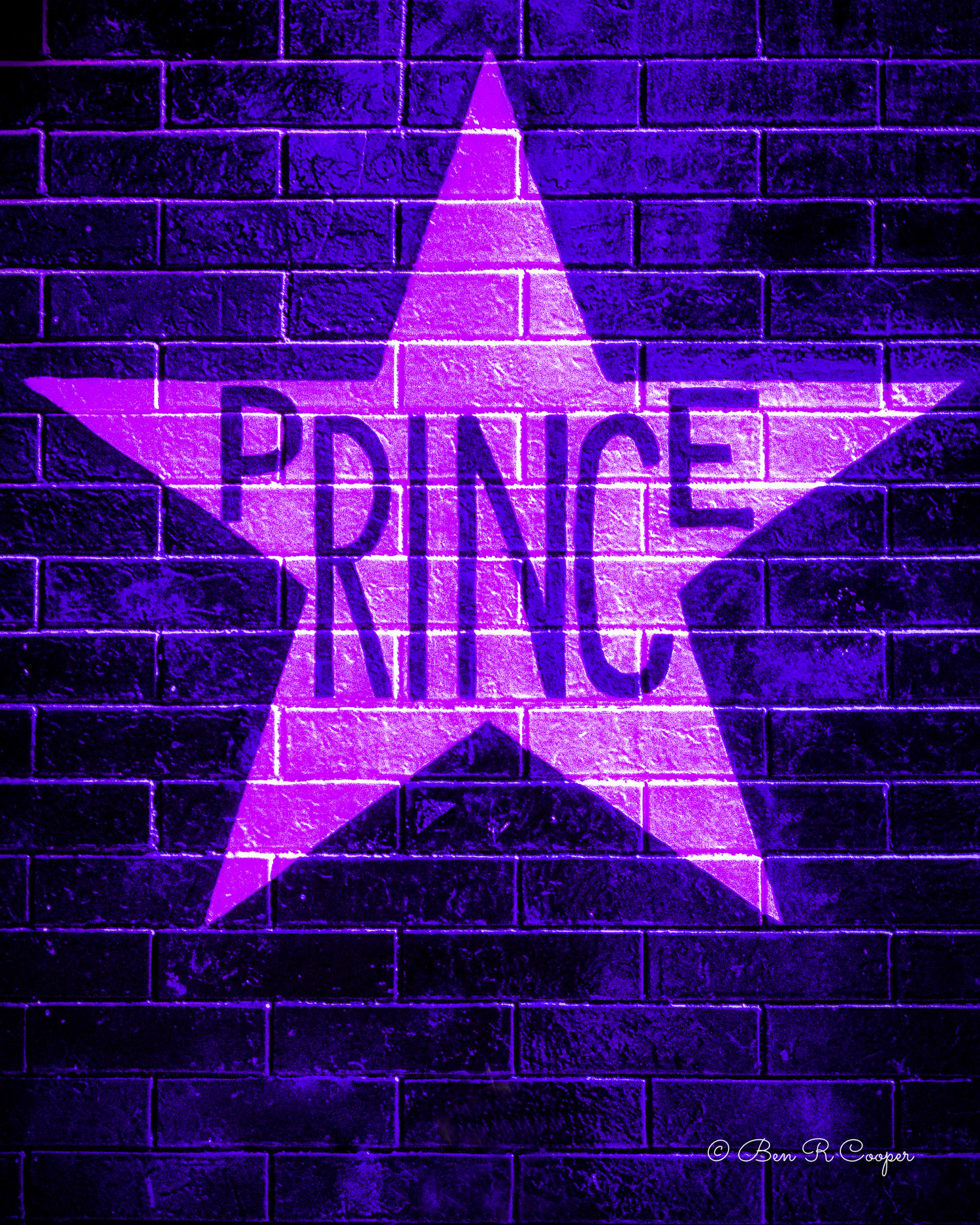 Prince's Star in Purple