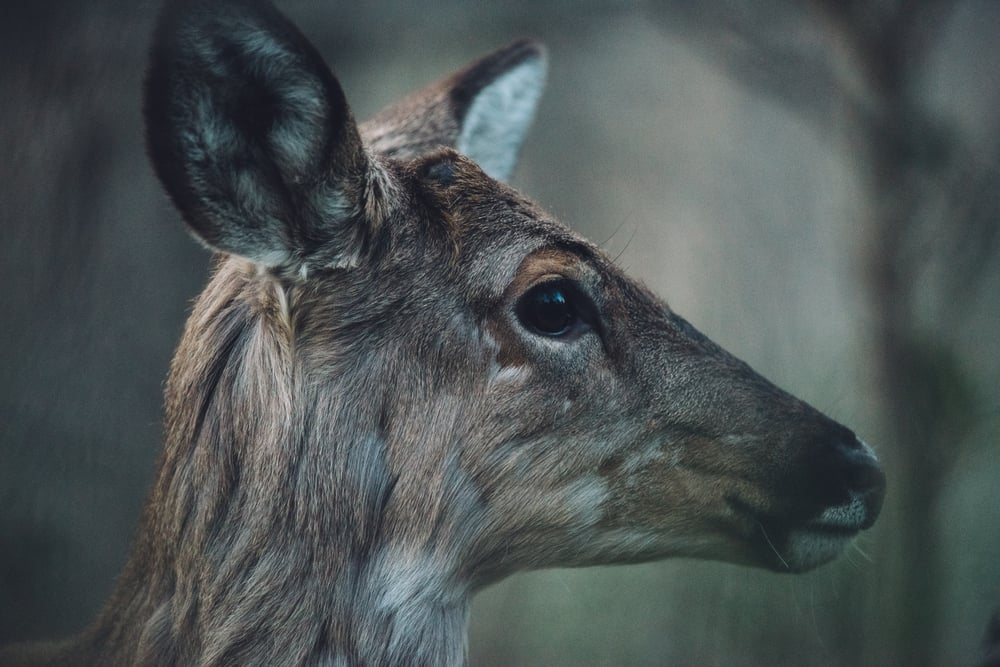 Image of what have I hidden from my eyes