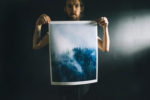 Image of like a pale hand grasping soft petals