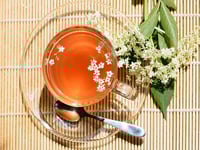 Organic Dried Elderflower Tea Bags  