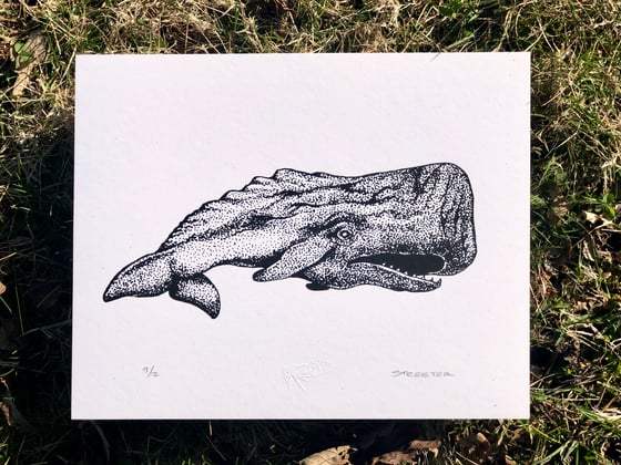 Image of Whale - 8x10 Print