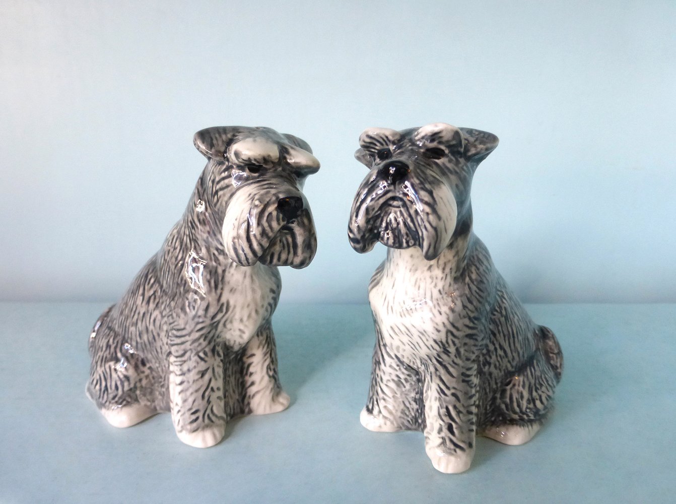 Salt pepper hot sale schnauzer