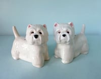 Image 1 of Westie Salt and Pepper