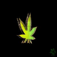 Image 1 of Space Lettuce 