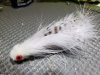 Image of Galloup's Silk Kitten