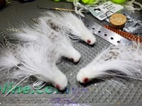 Image of Galloup's Silk Kitten