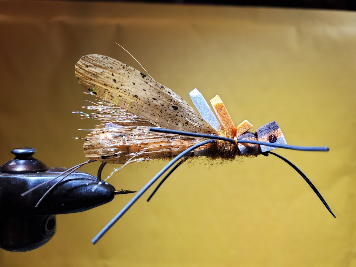 Eastern Trophies Fly Fishing — Swinks Salmonfly