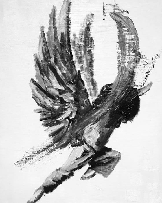 Image of Wings