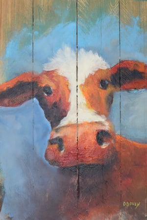 Curious Cow
