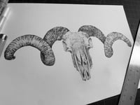 Image 2 of Ram Skull