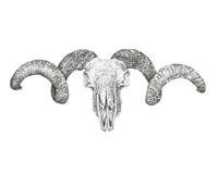 Image 3 of Ram Skull